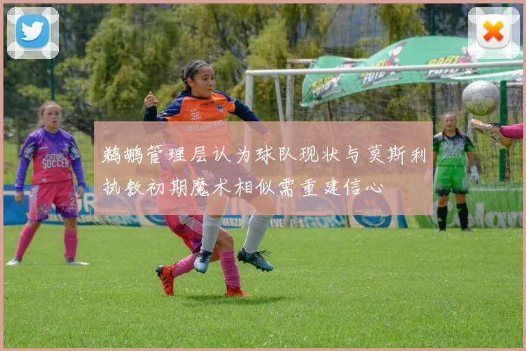 鹈鹕管理层认为球队现状与莫斯利执教初期魔术相似需重建信心