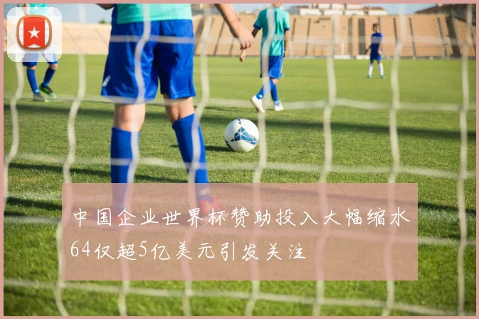 中国企业世界杯赞助投入大幅缩水64仅超5亿美元引发关注